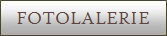 FOTOLALERIE